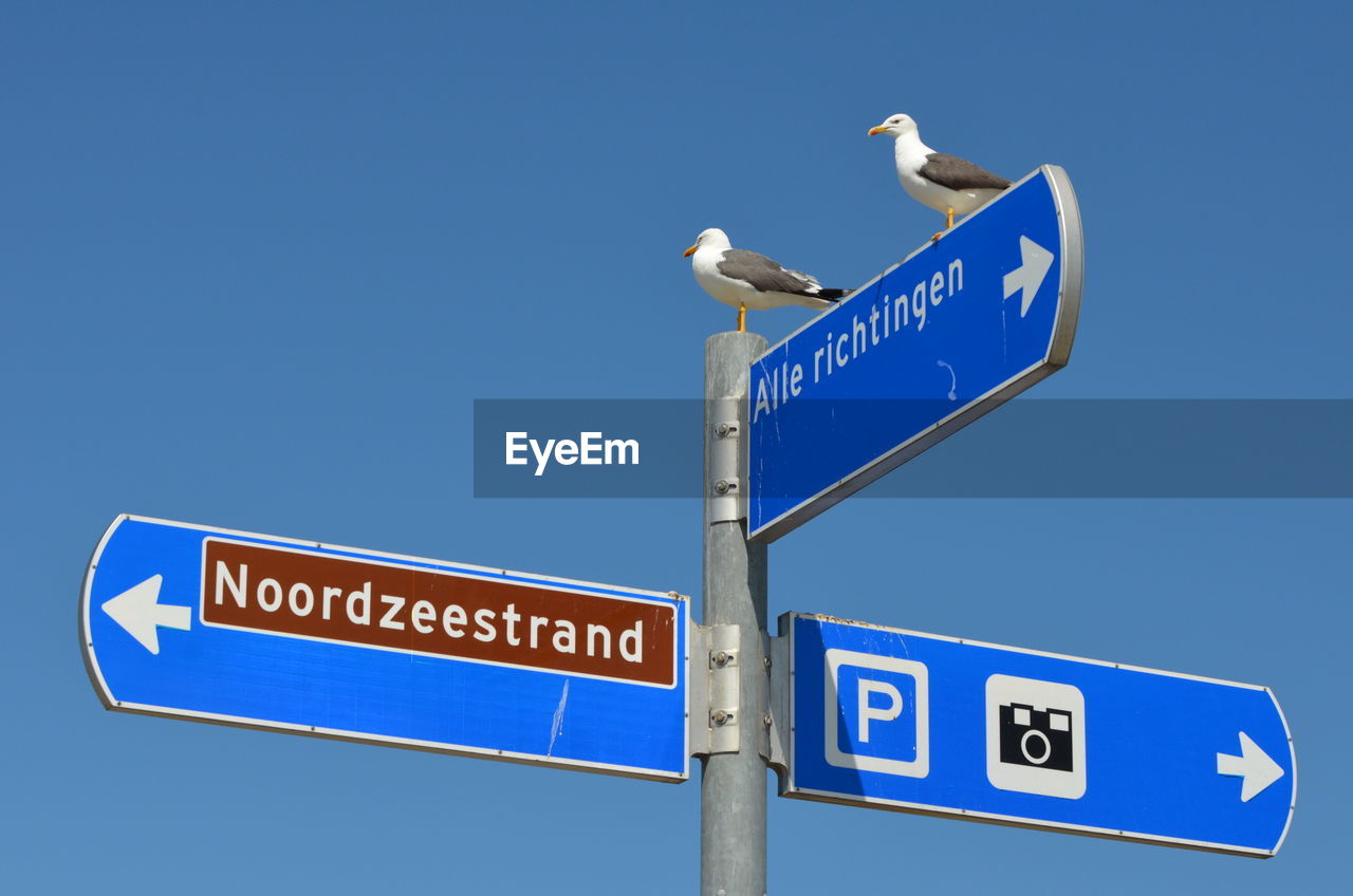 LOW ANGLE VIEW OF ROAD SIGN AGAINST BLUE SKY