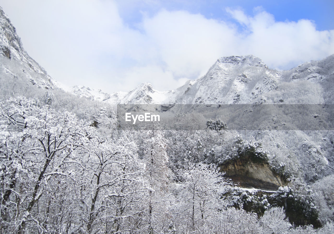 SCENIC VIEW OF SNOW COVERED MOUNTAINS