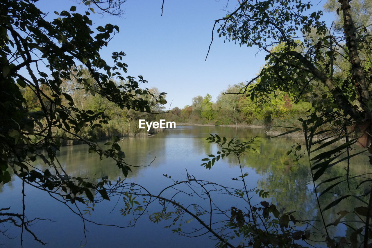 SCENIC VIEW OF LAKE IN FOREST AGAINST SKY