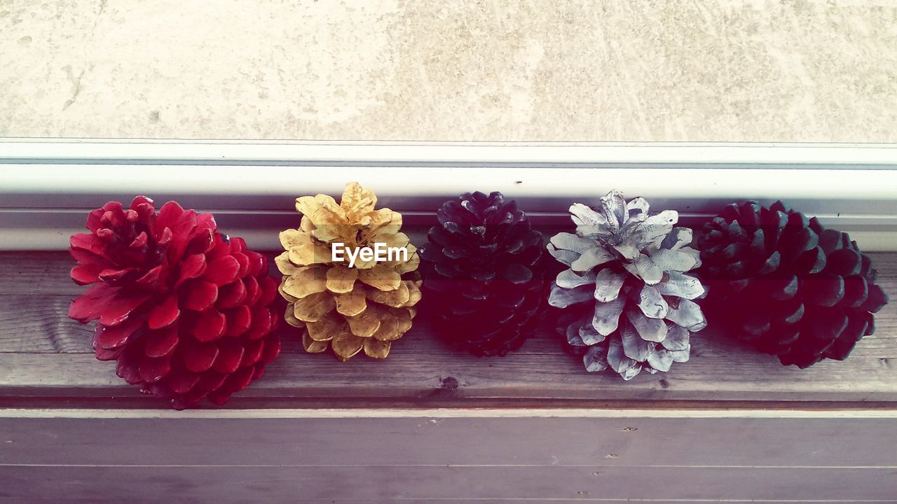 HIGH ANGLE VIEW OF RED ROSES IN CONTAINER ON WOODEN WINDOW