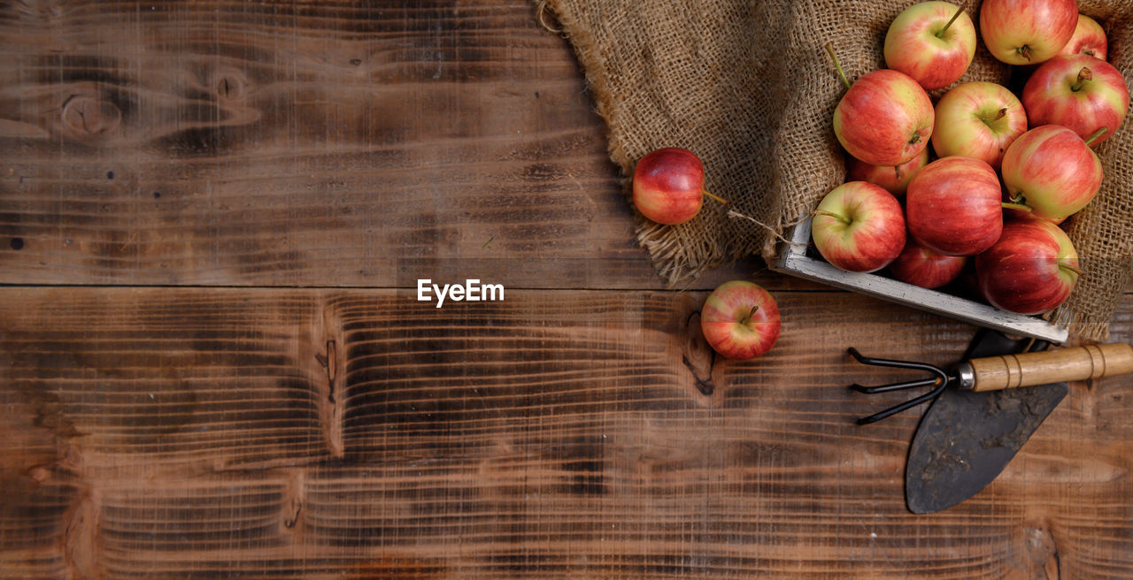 DIRECTLY ABOVE SHOT OF FRUITS IN BASKET
