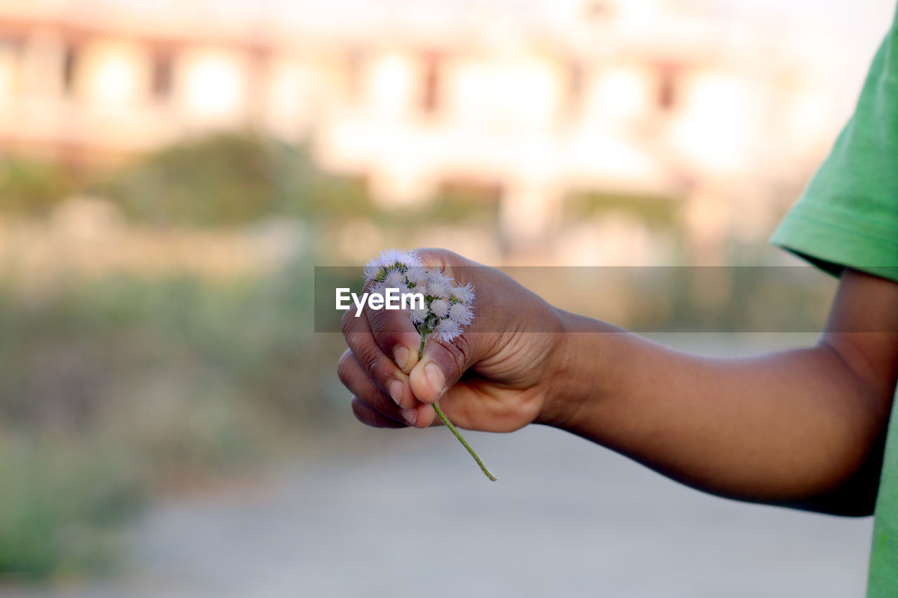 CLOSE-UP OF WOMAN HAND HOLDING RED FLOWER