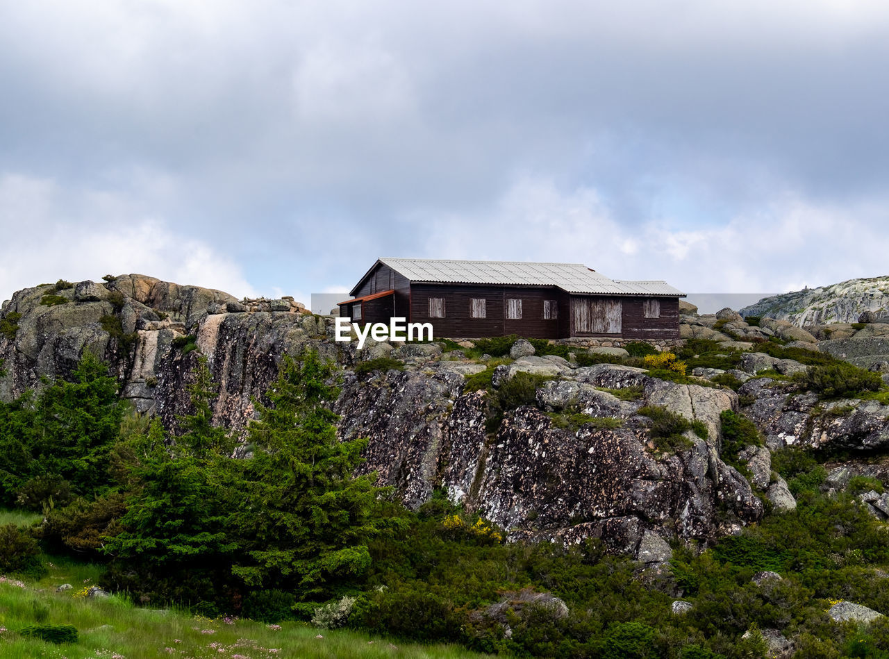 PLANTS GROWING ON ROCKS BY BUILDING AGAINST SKY