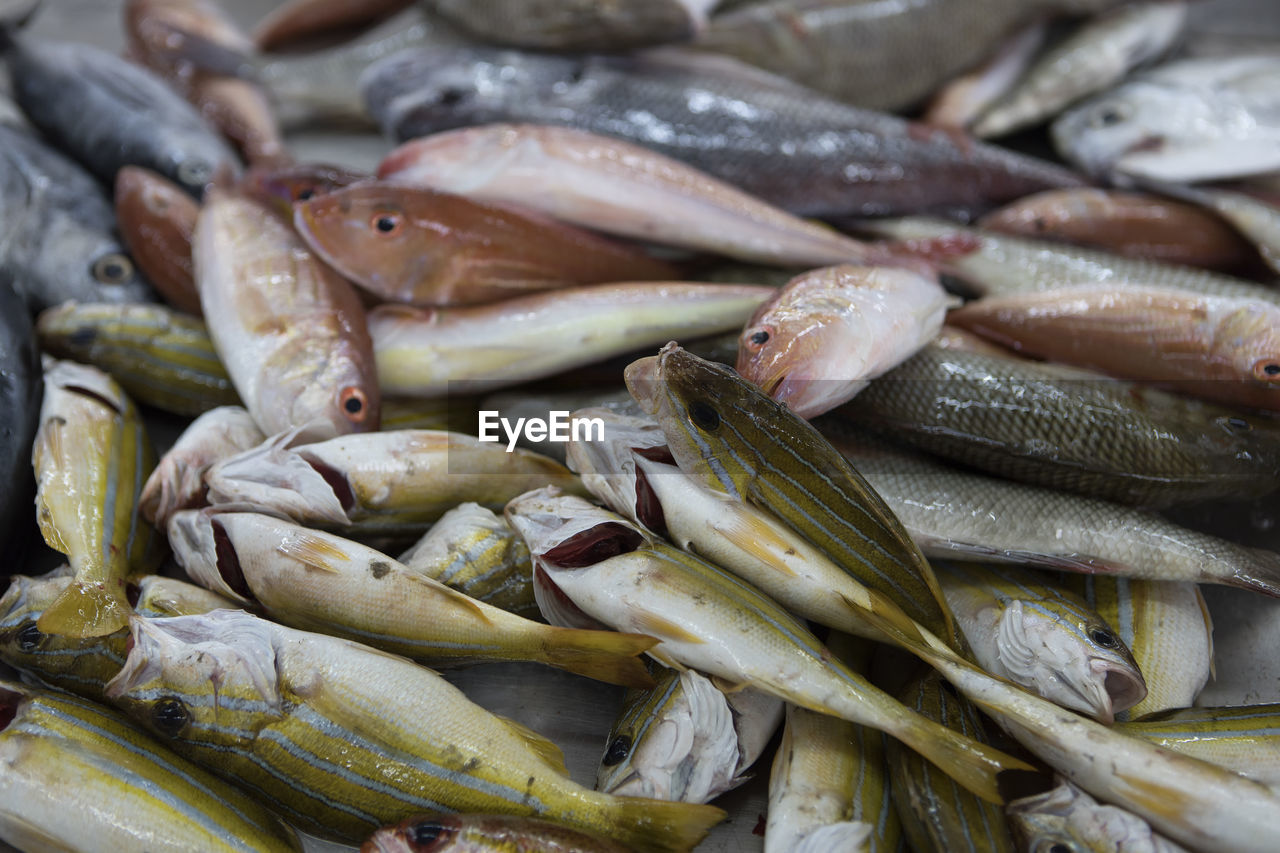 High angle view of fish for sale in market