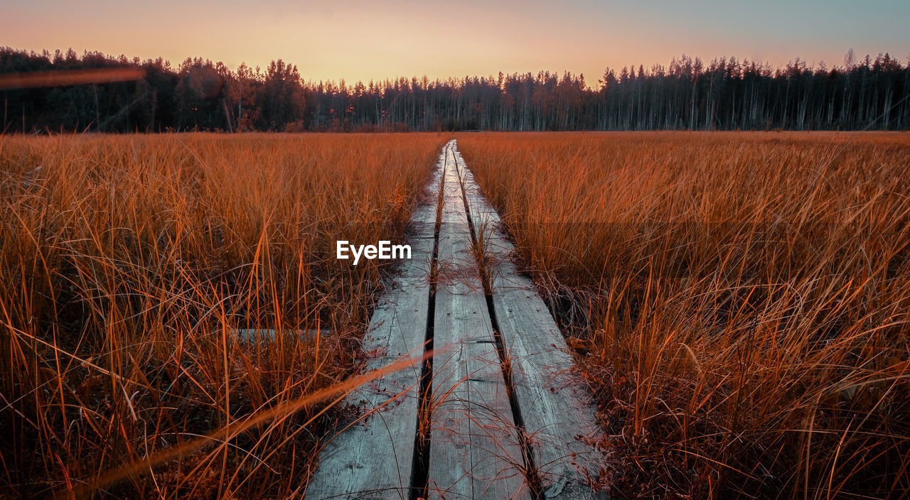 Dirt road amidst trees on field against sky during sunset