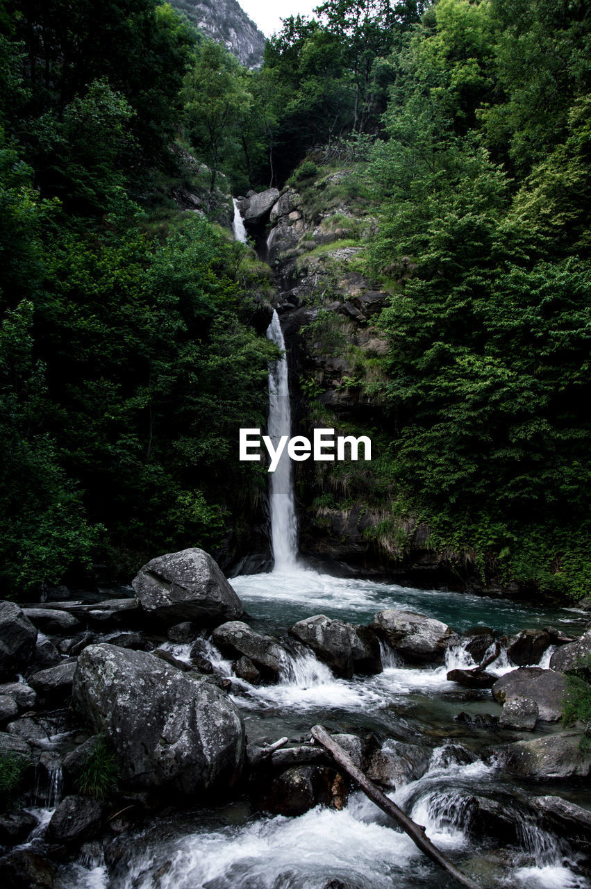 SCENIC VIEW OF WATERFALL