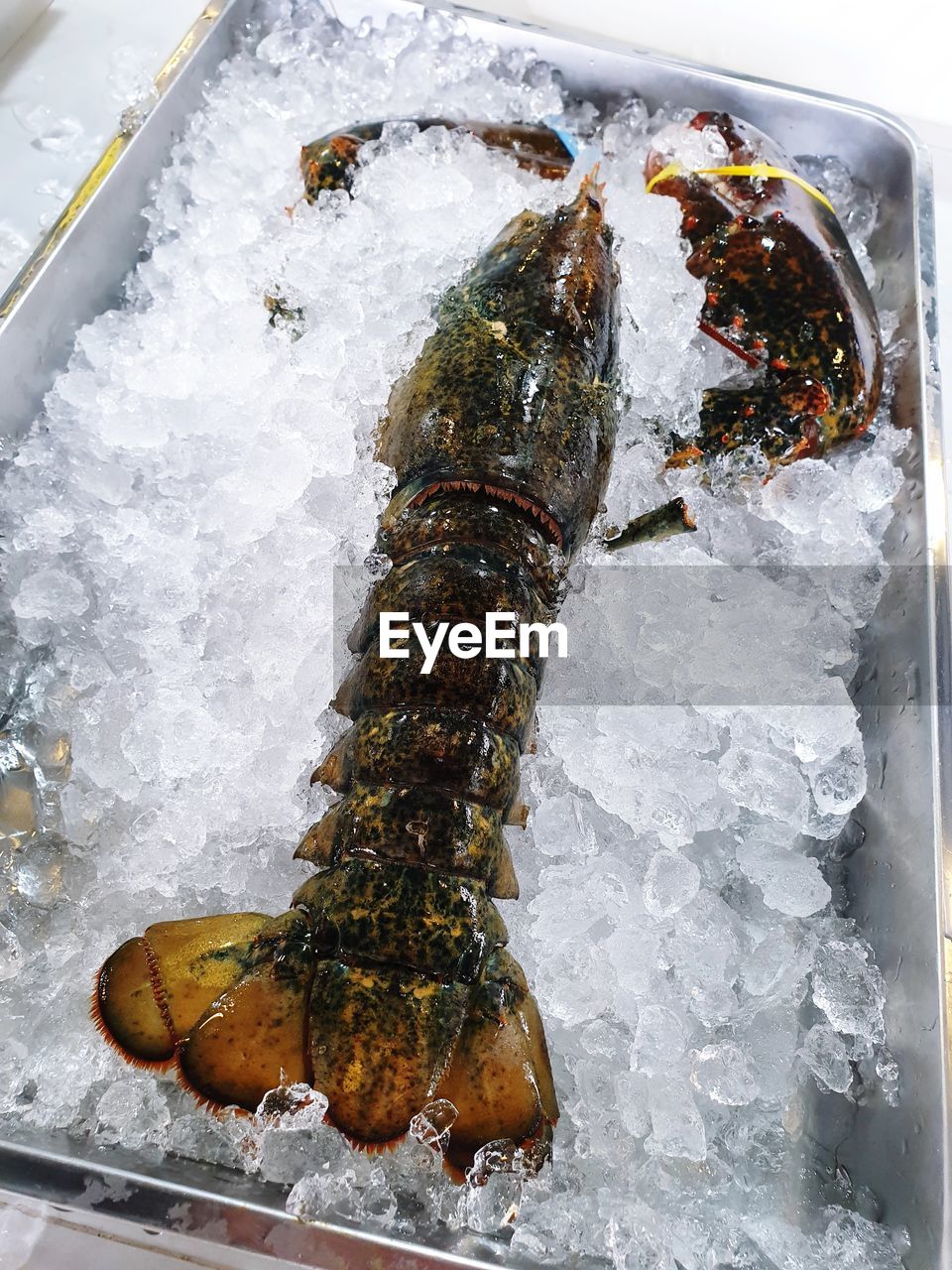 High angle view of lobster on ice for sale