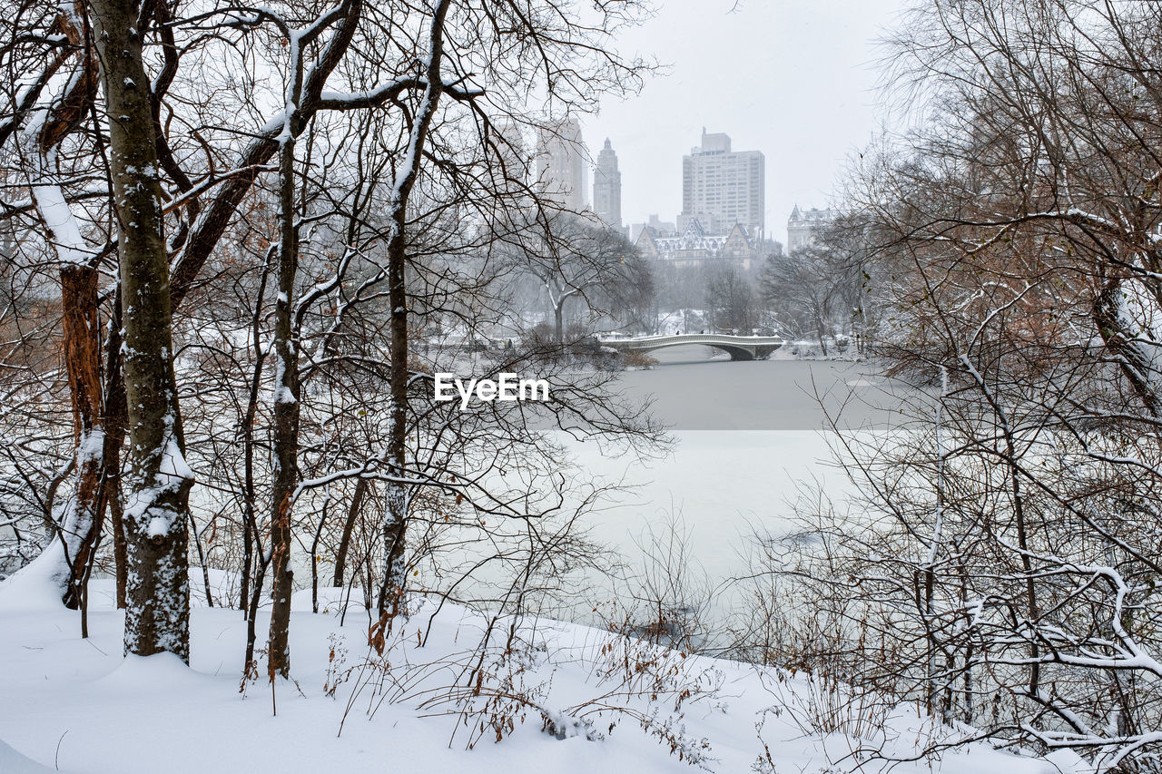 BARE TREES AND BUILDINGS AGAINST SKY