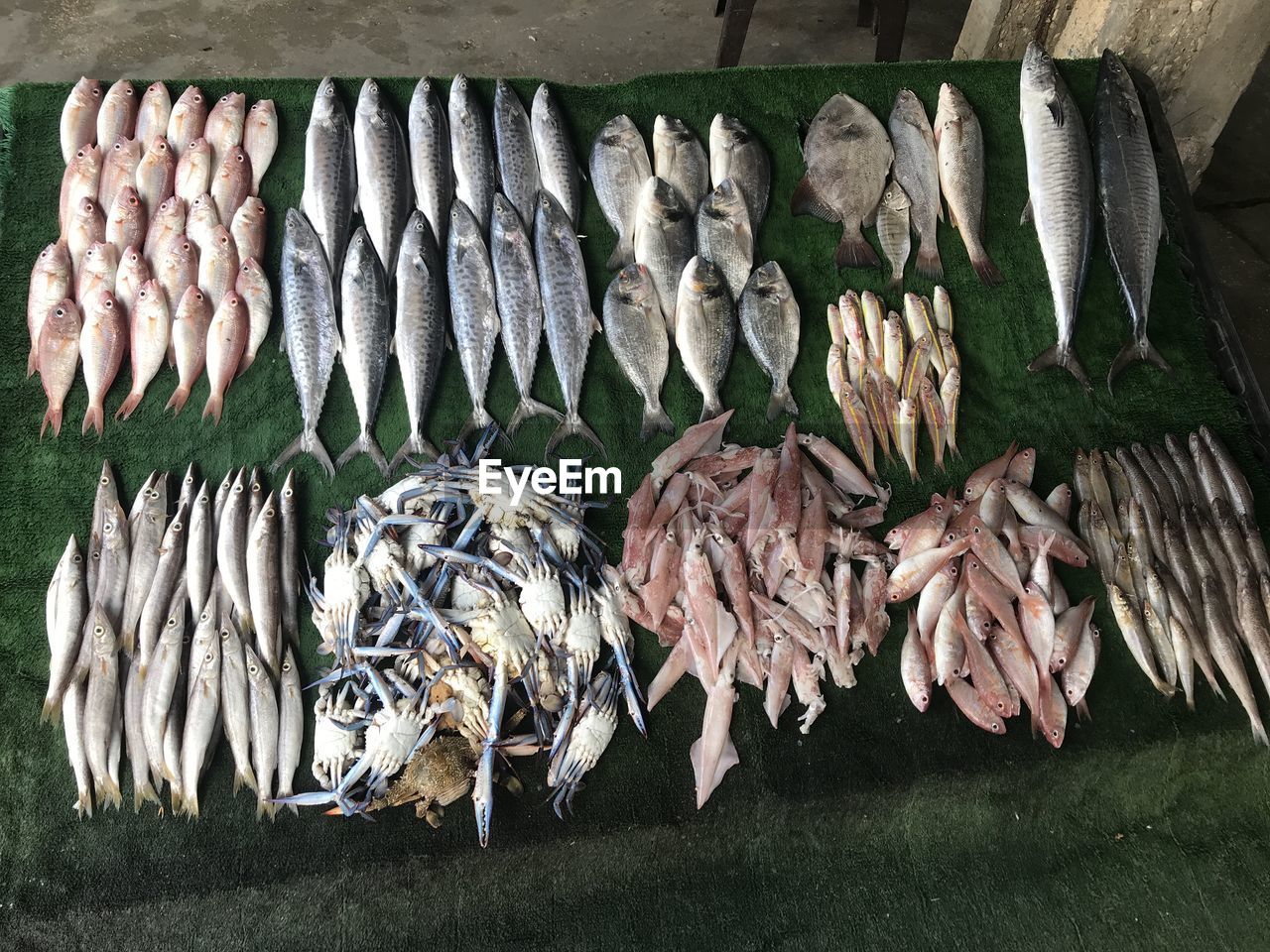 High angle view of fish for sale in market