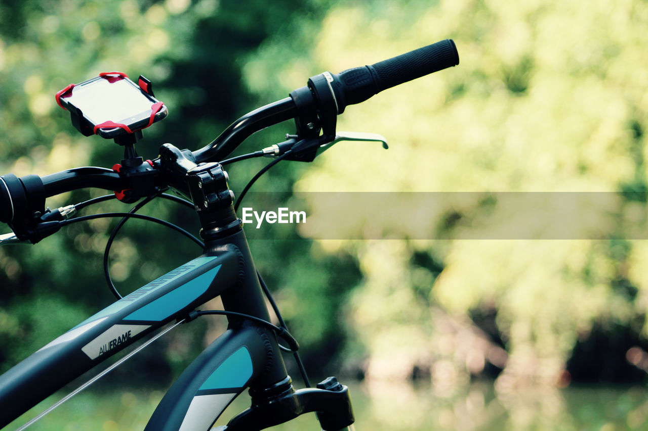 CLOSE-UP OF RED BICYCLE ON GREEN LEAF