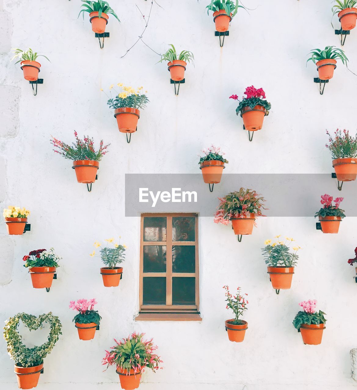 Low angle view of potted plants on building