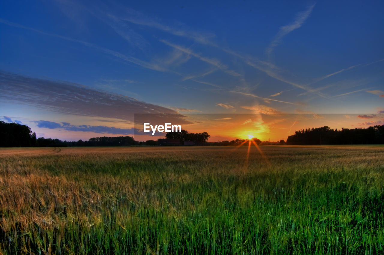 Scenic view of field against sky during sunset