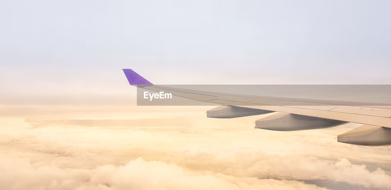 VIEW OF AIRPLANE FLYING IN SKY