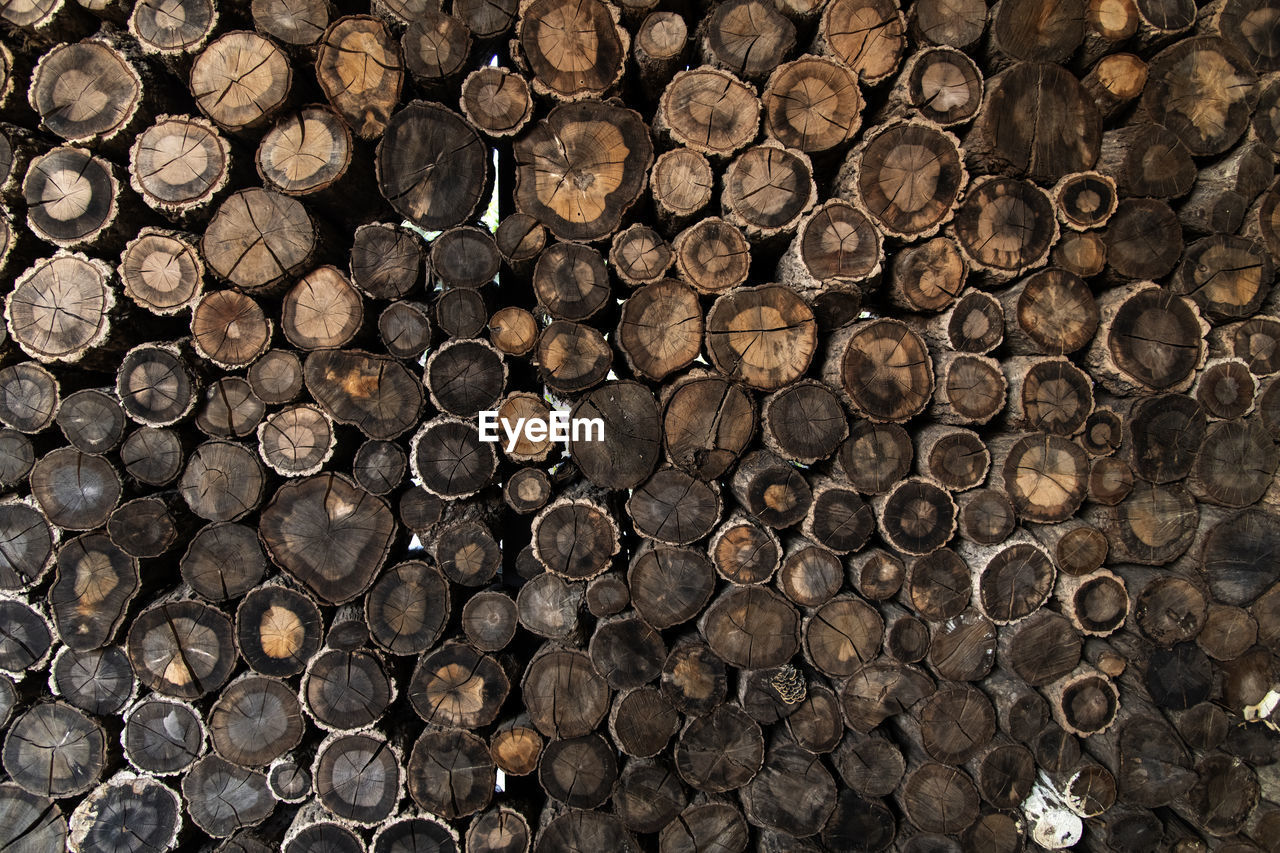 Full frame shot of logs in forest