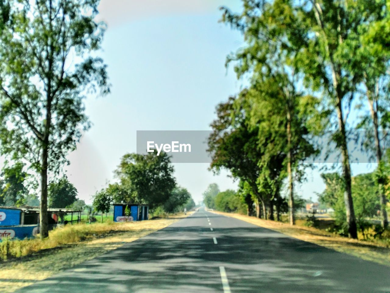 ROAD BY TREES AGAINST CLEAR SKY