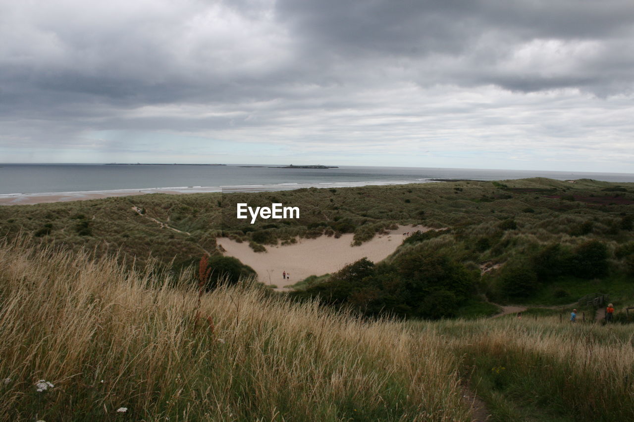 SCENIC VIEW OF BEACH