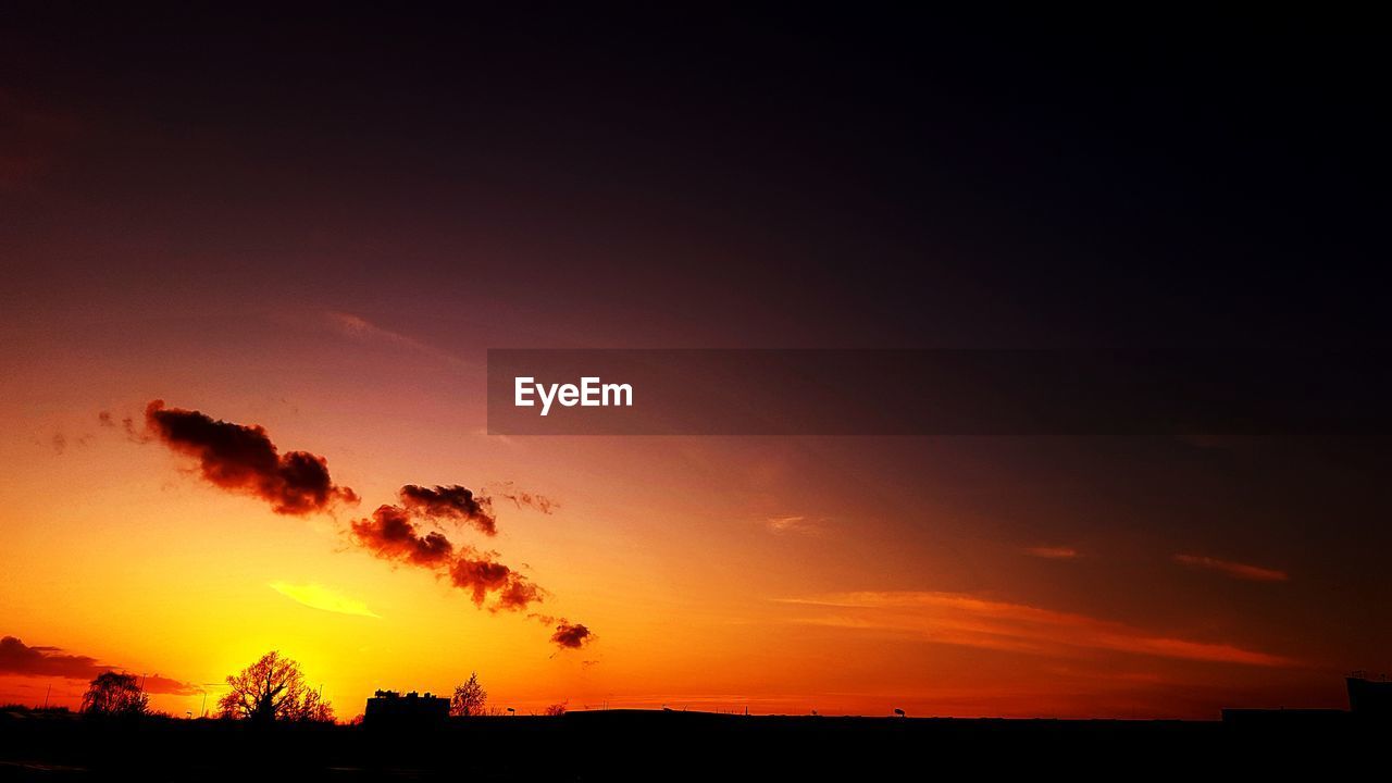 SILHOUETTE TREES ON FIELD AGAINST DRAMATIC SKY