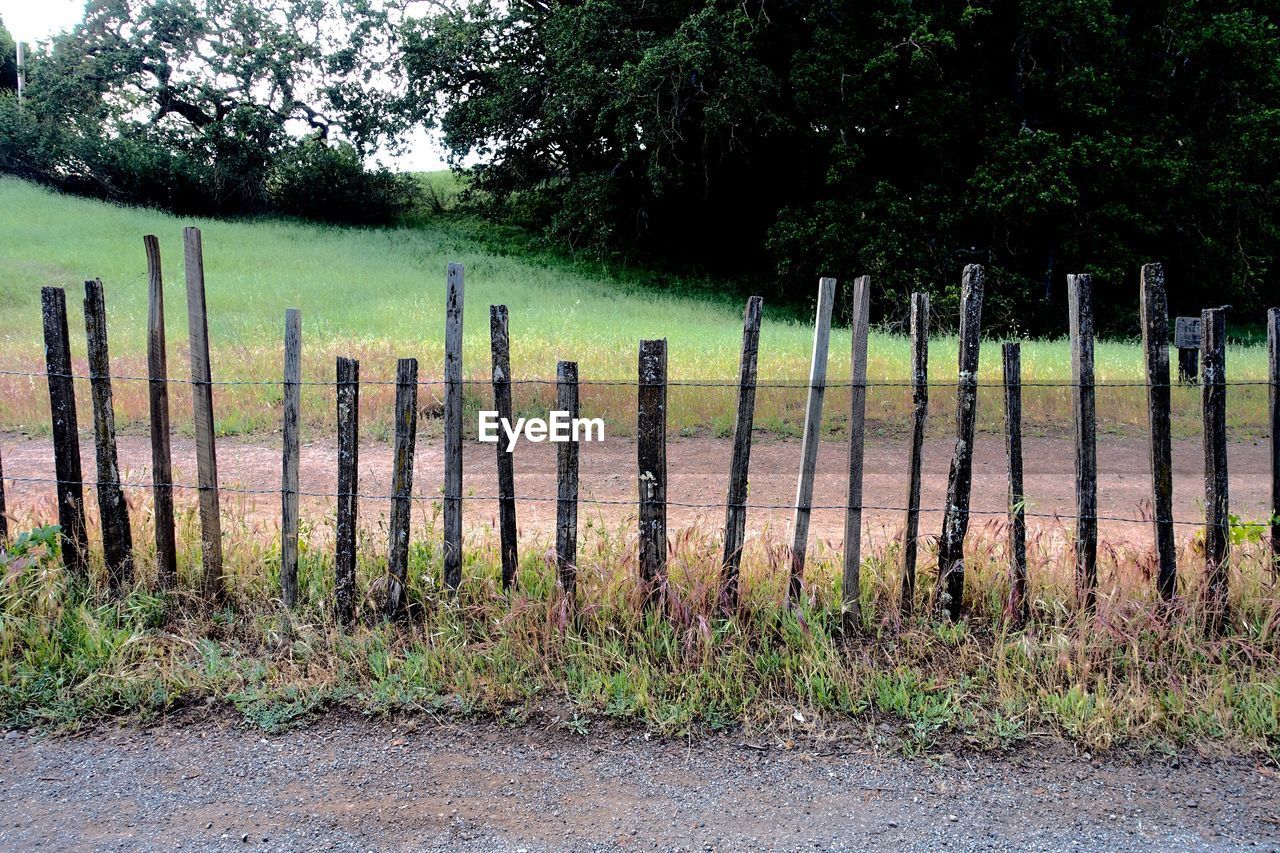 Wooden railing on field against trees