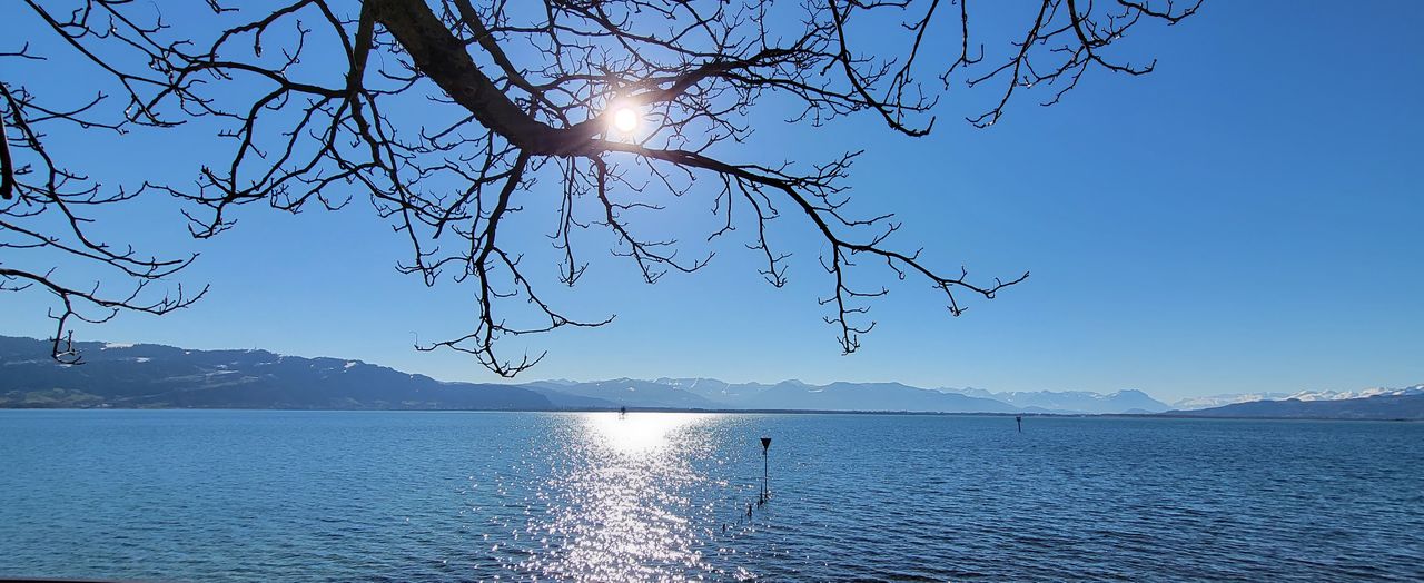 water, sky, scenics - nature, beauty in nature, tree, nature, tranquility, tranquil scene, mountain, sea, blue, branch, no people, landscape, reflection, body of water, plant, morning, sunlight, idyllic, environment, outdoors, travel destinations, travel, sun, clear sky, land, horizon, dusk, sunny, day, mountain range, non-urban scene, bare tree, tourism, beach, silhouette