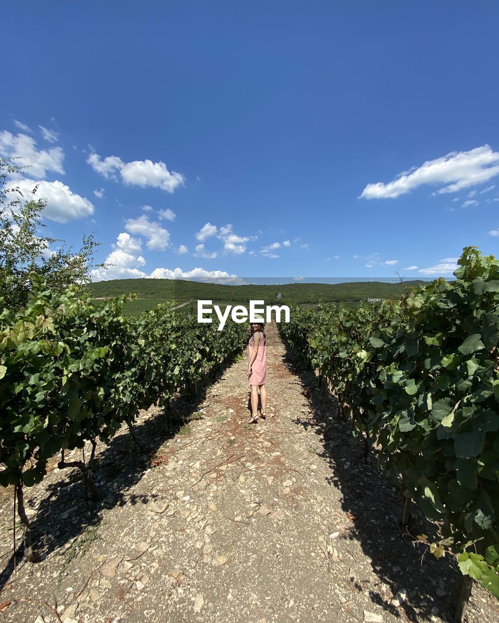 REAR VIEW OF WOMAN WALKING ON FARM AGAINST SKY