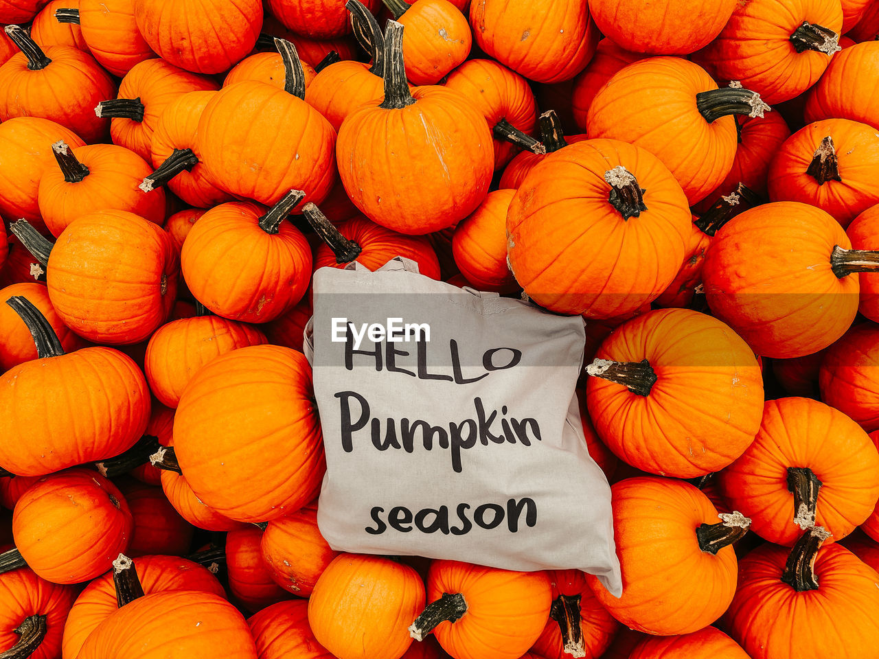 HIGH ANGLE VIEW OF PUMPKINS FOR SALE