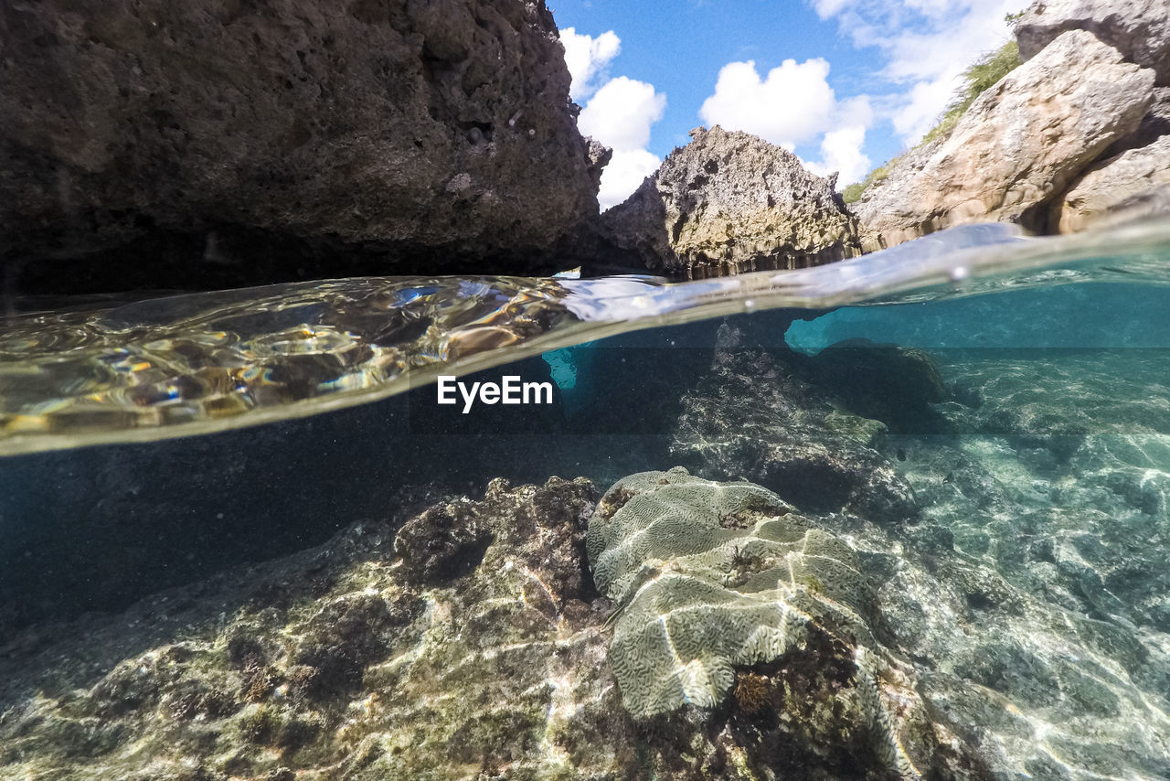 Diving in curacao