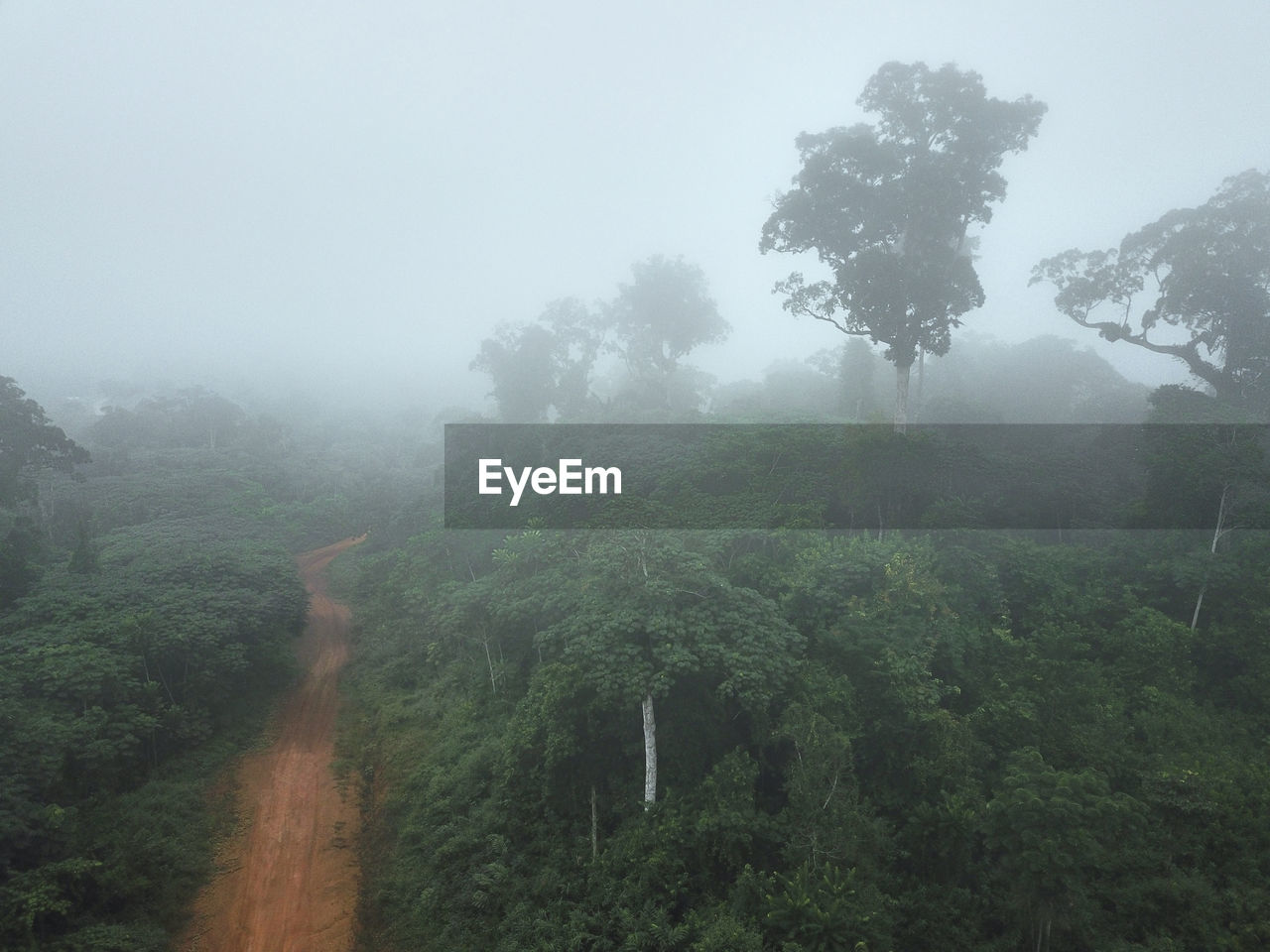 Gabon, mikongo, aerial view of dirt road cutting through misty jungle