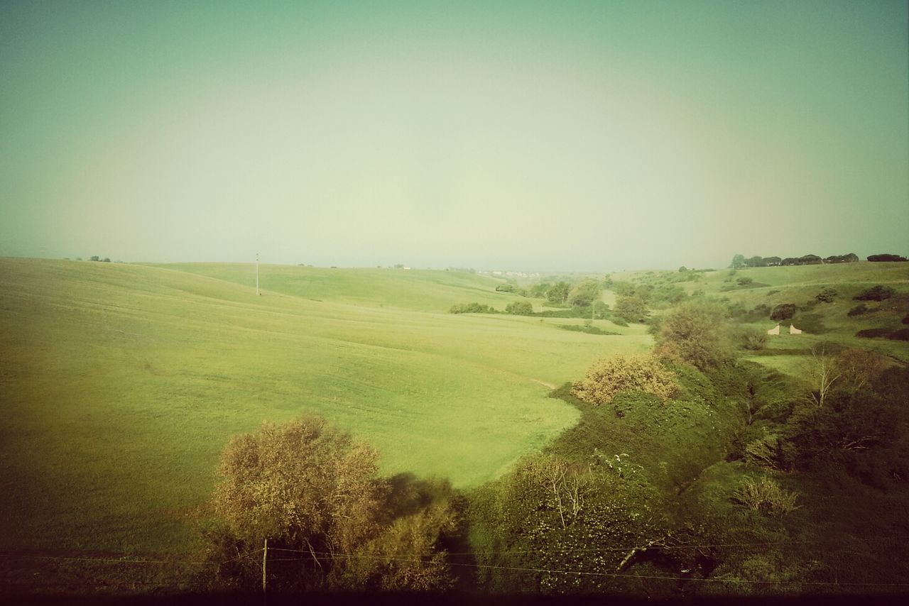 Scenic view of green landscape against clear sky