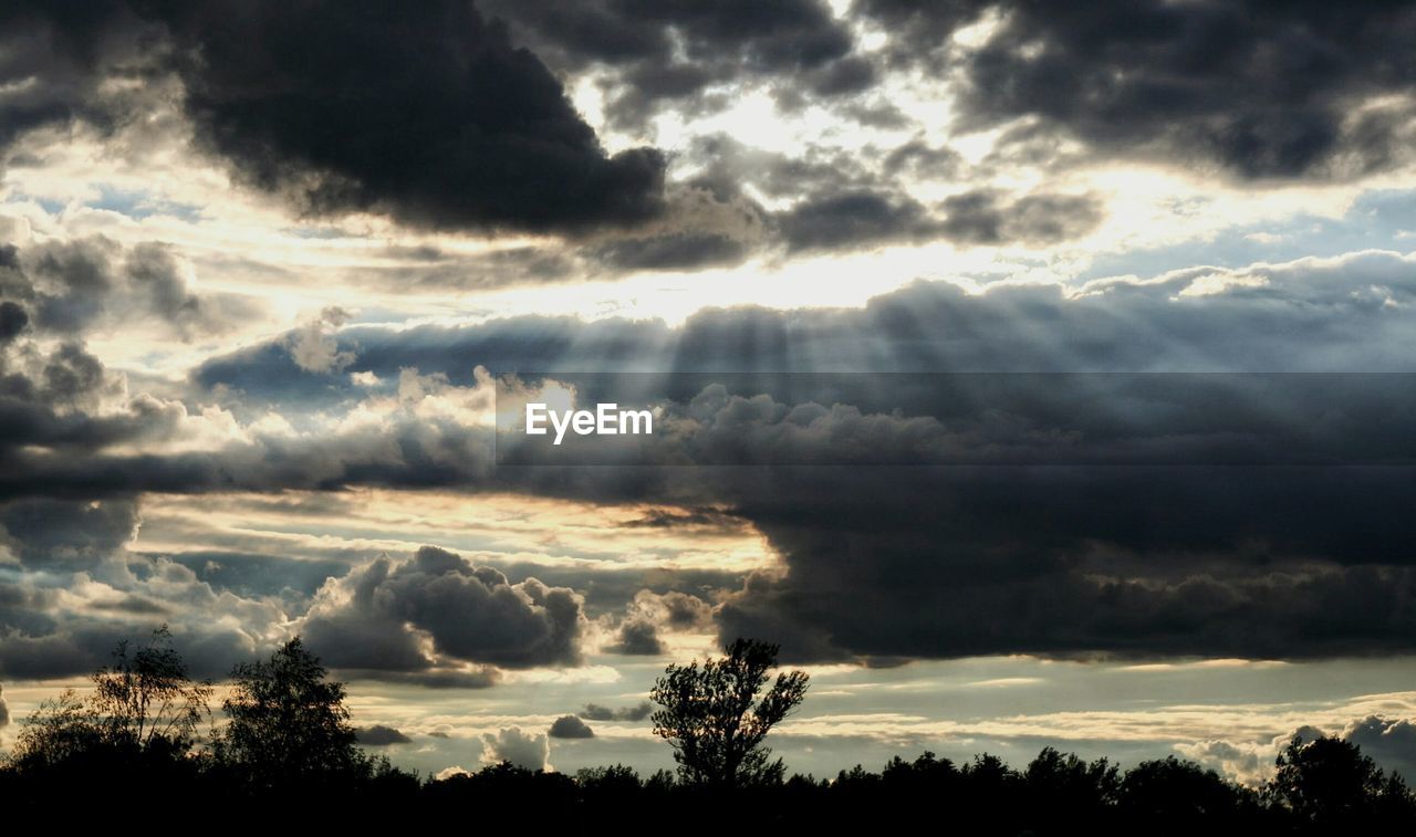 LOW ANGLE VIEW OF CLOUDS IN SKY