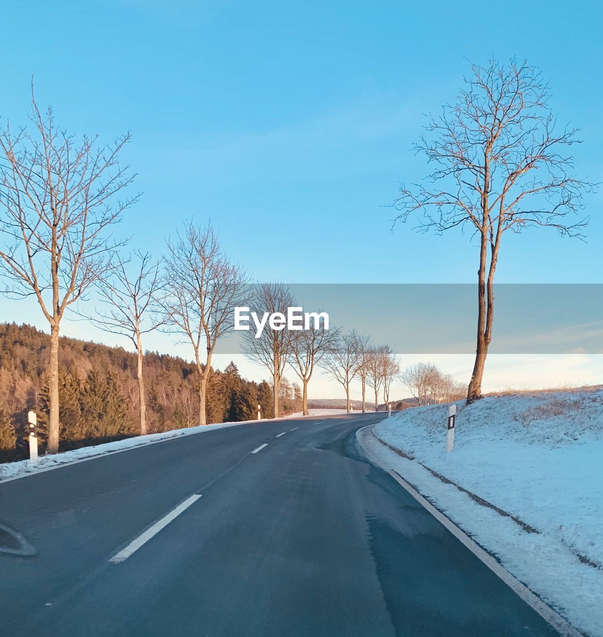 ROAD AMIDST BARE TREES AGAINST SKY