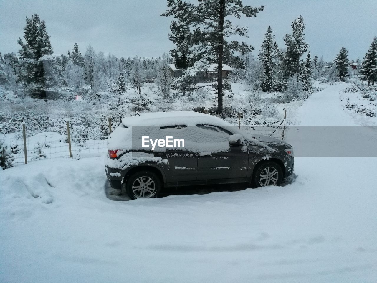 CAR IN SNOW
