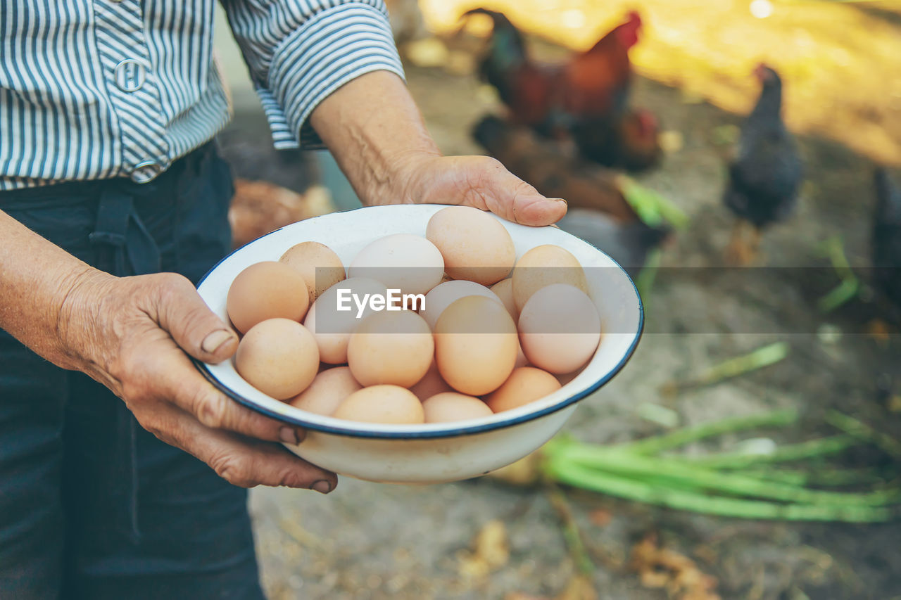 Midsection of senior woman holding eggs in bowl