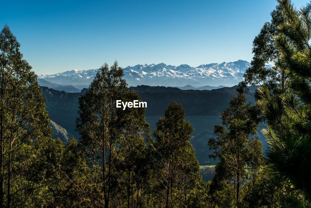 Scenic view of mountains against clear blue sky