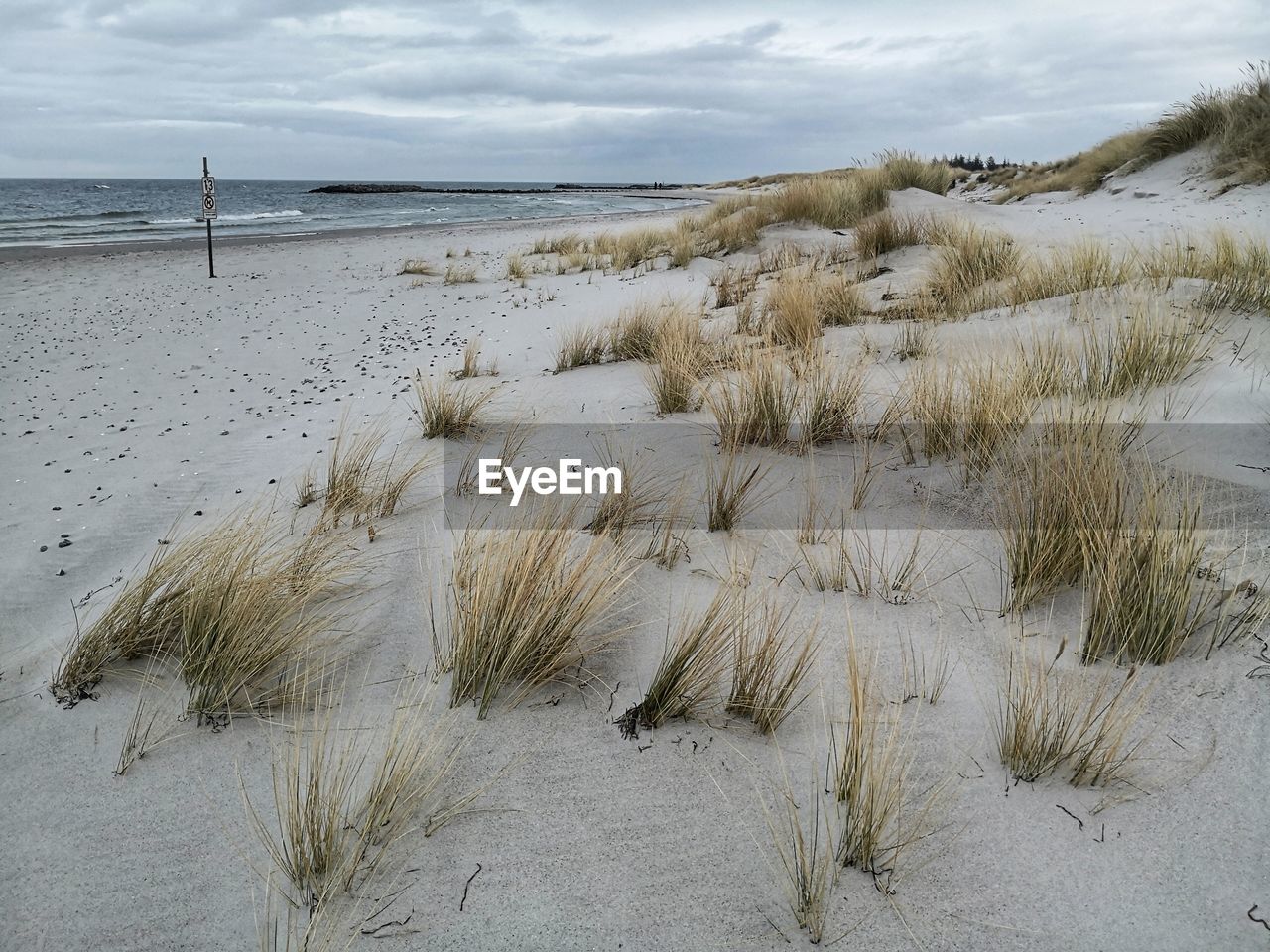 SCENIC VIEW OF BEACH