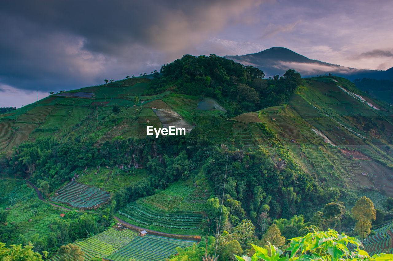 The beauty of the morning at the foot of mount ciremai majalengka, west java, indonesia