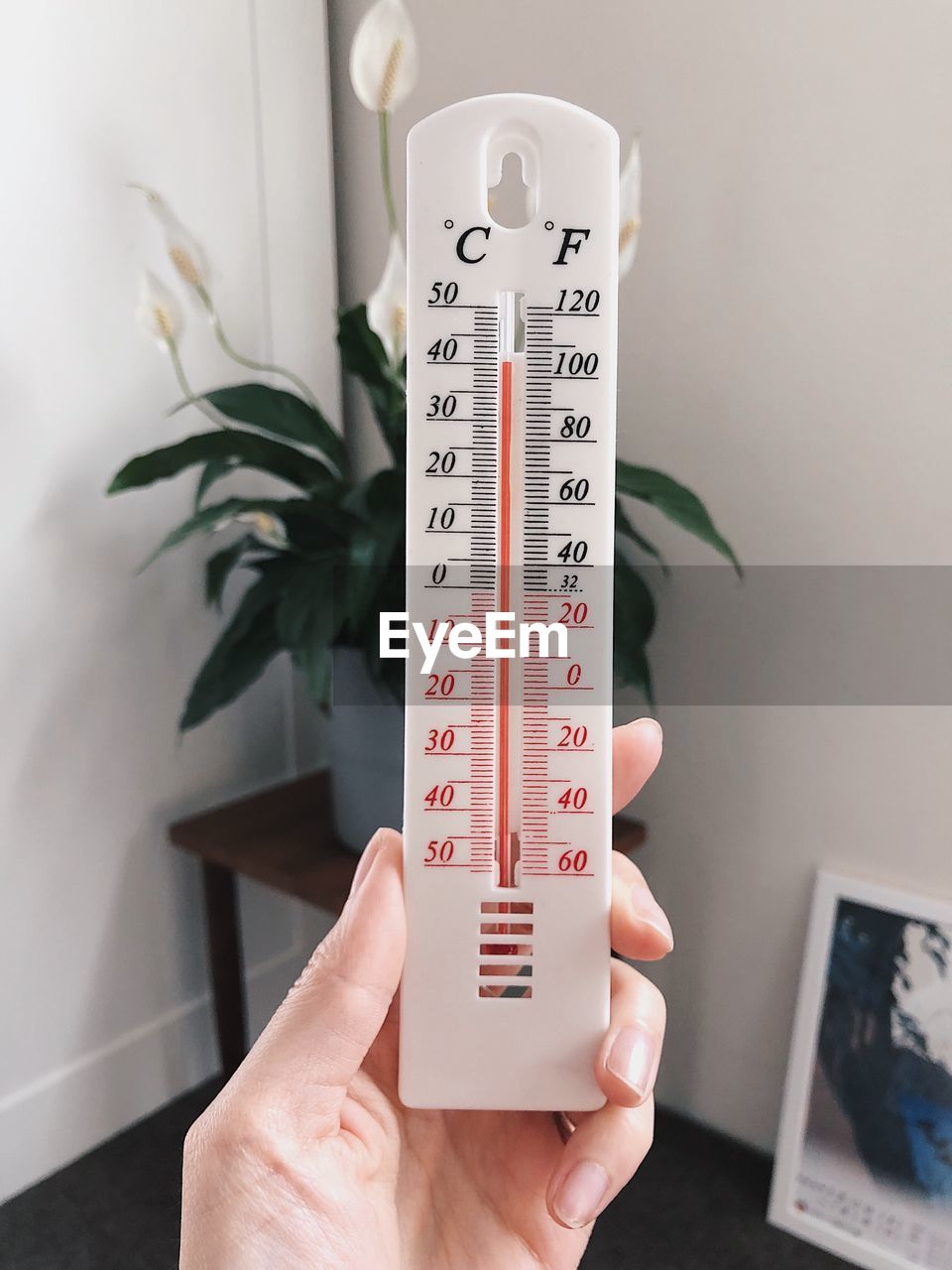 Cropped hand holding thermometer