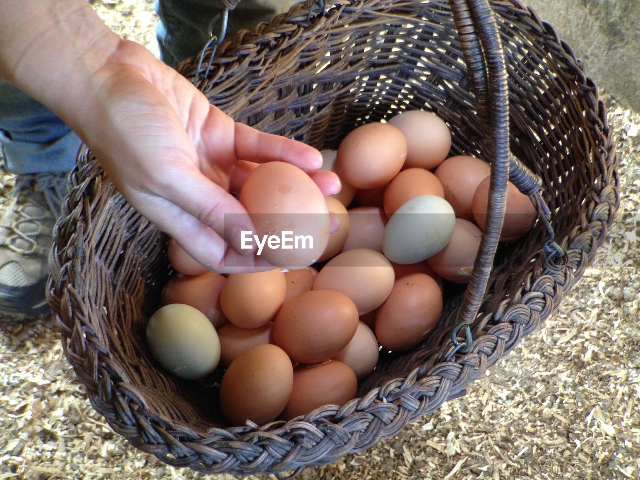 One person holding a basket with eggs