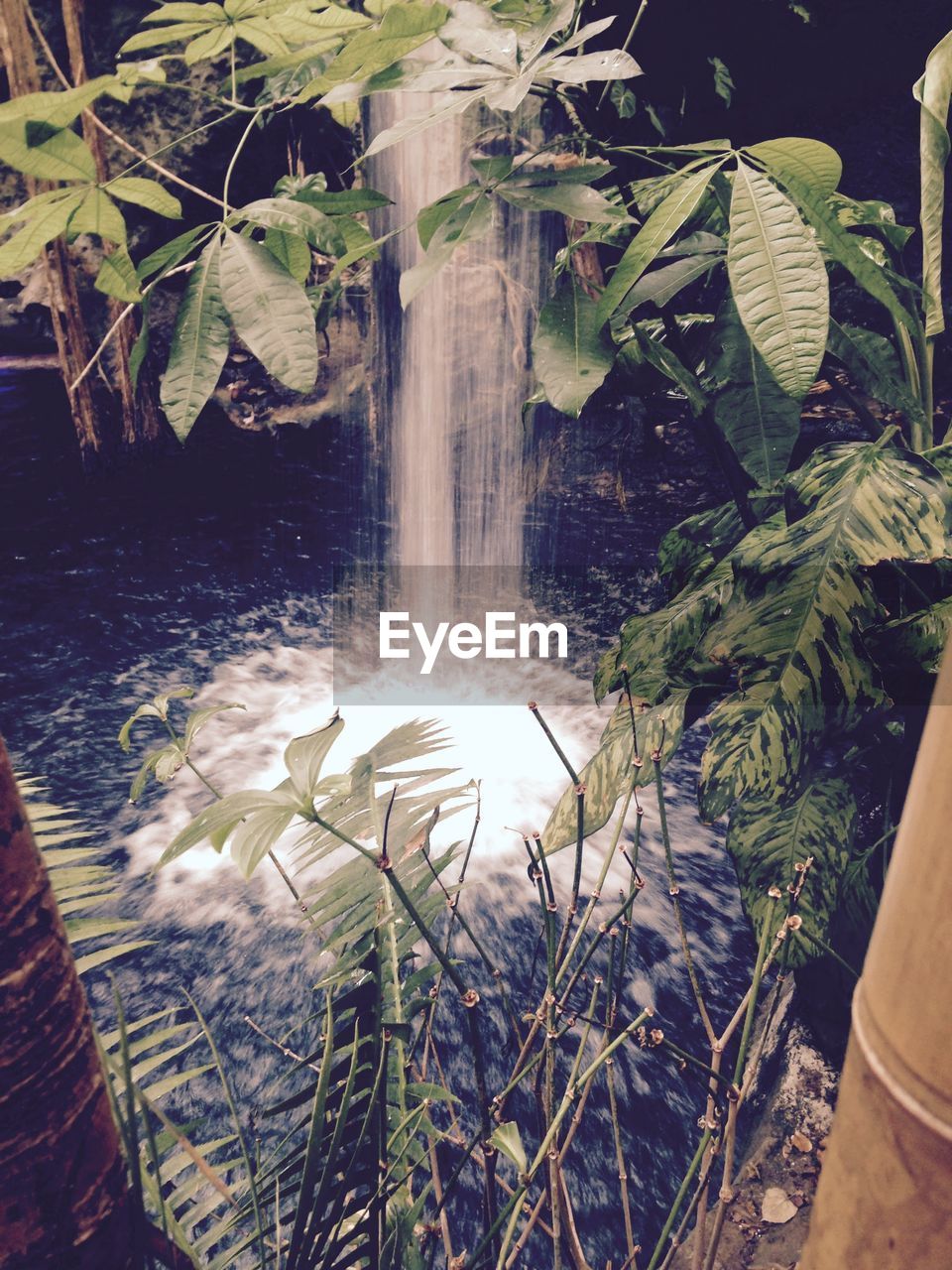 SCENIC VIEW OF WATER FLOWING THROUGH PLANTS