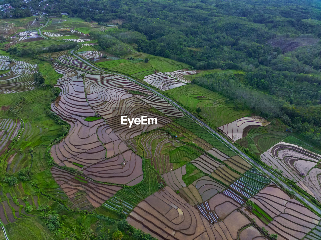 Aerial view beautiful morning view from indonesia about mountain and forest