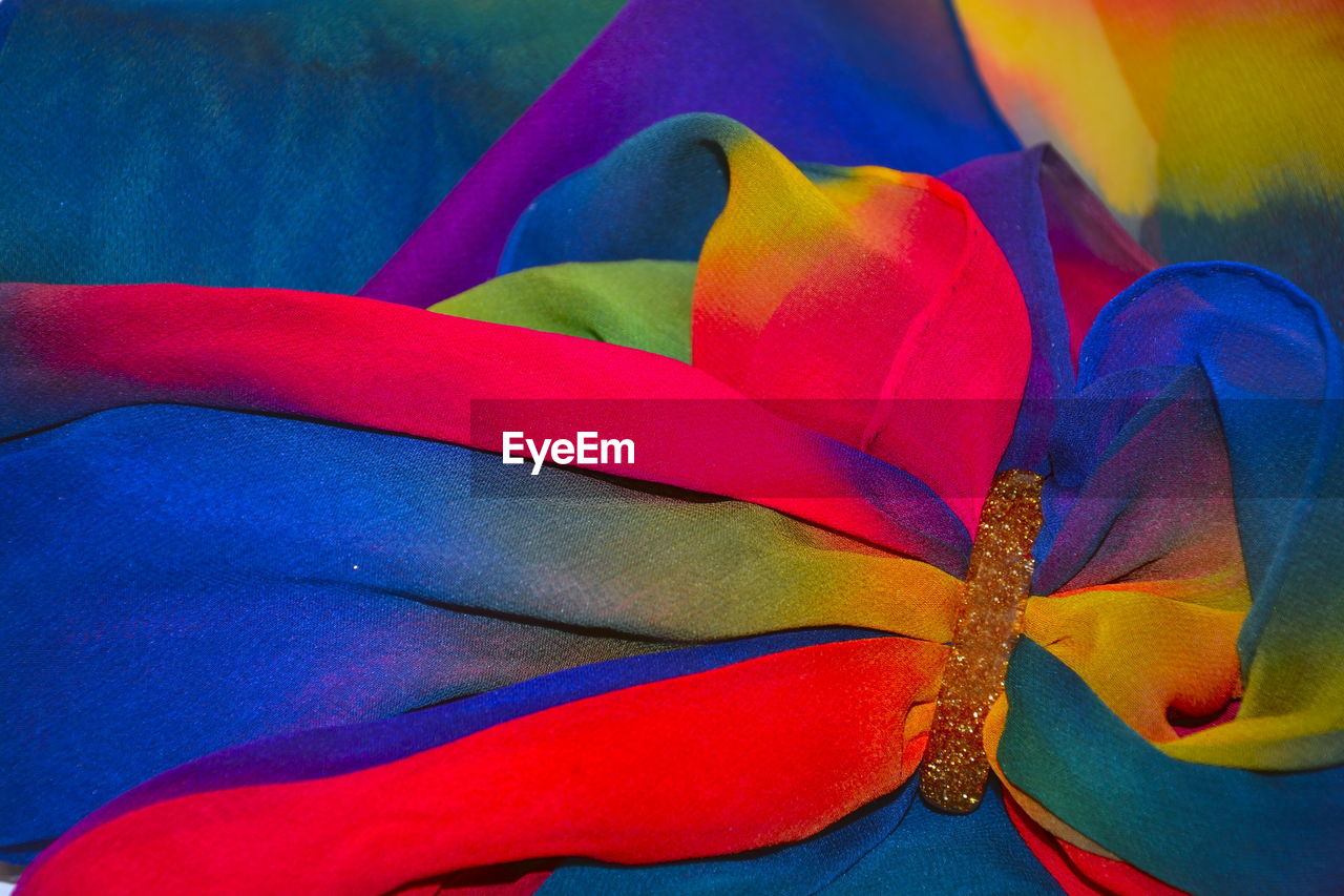 CLOSE-UP OF MULTI COLORED BLUE FLOWER