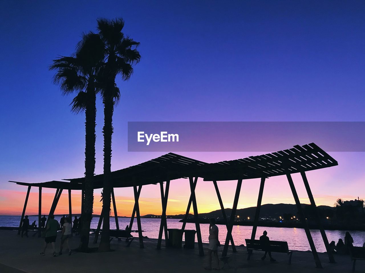 SILHOUETTE PALM TREES ON BEACH AGAINST CLEAR SKY