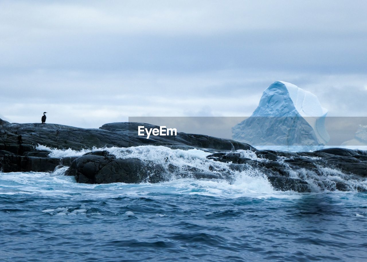 Waves against rocks with bird and iceberg in the background in antarctica