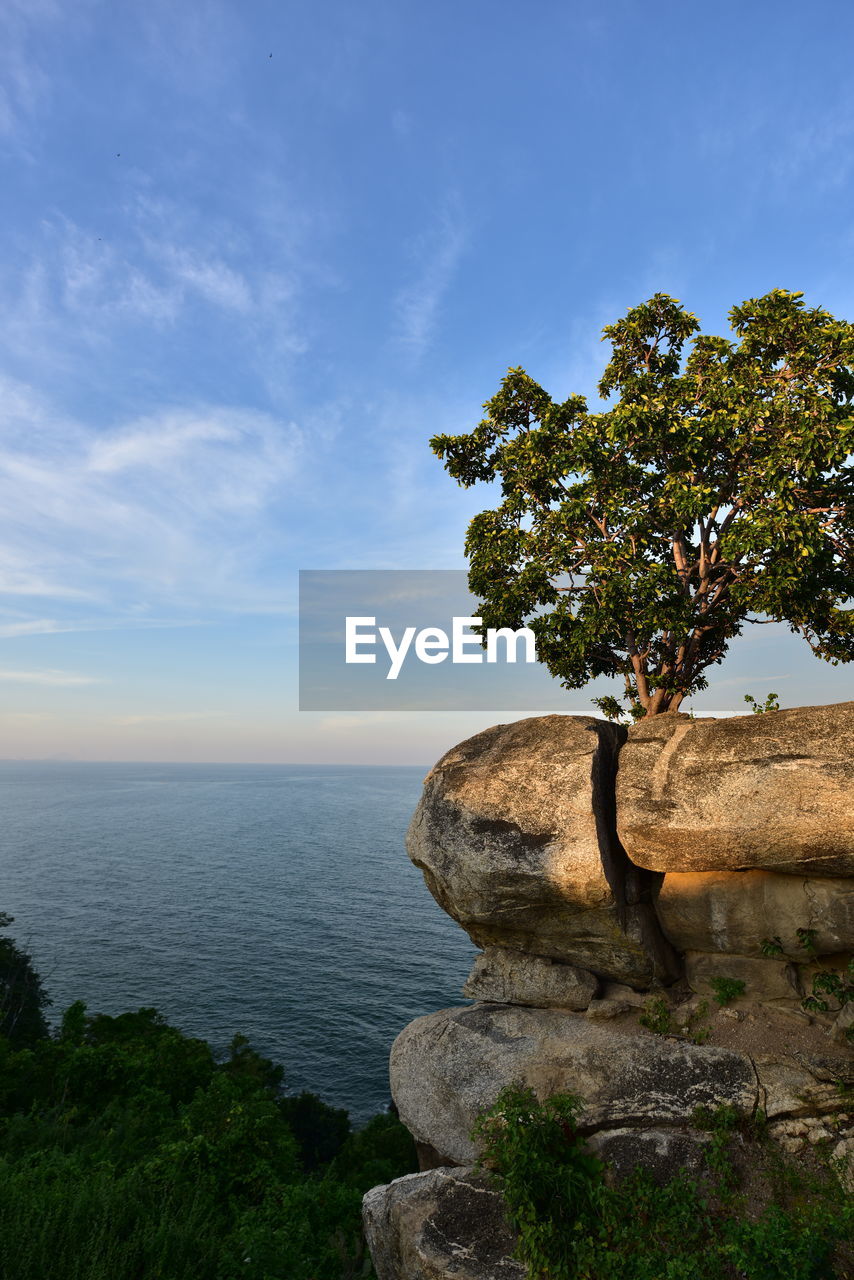 plant, tree, nature, sky, water, no people, scenics - nature, rock, beauty in nature, cloud, architecture, landmark, outdoors, blue, travel destinations, environment, travel, day, low angle view, land, sunlight, tourism, history, the past, reflection
