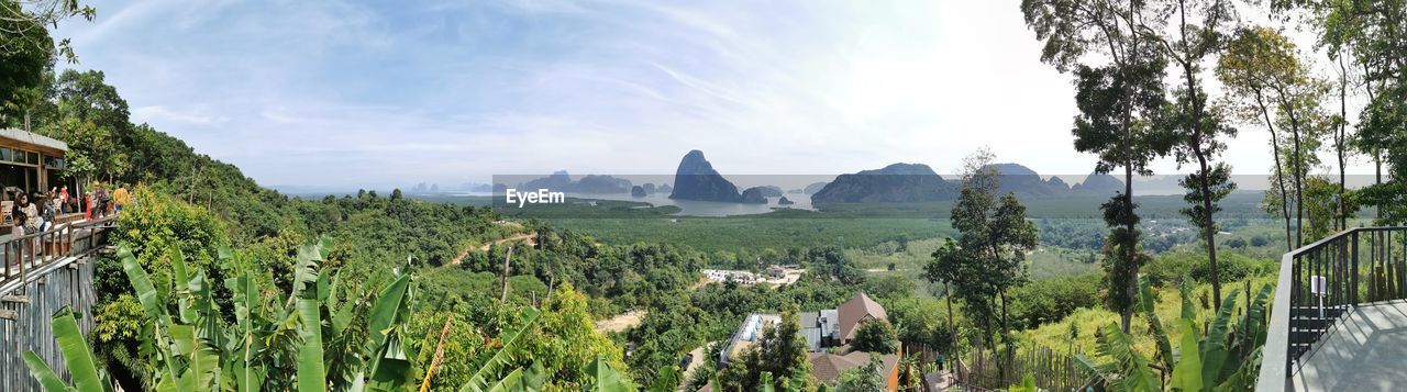 PANORAMIC VIEW OF TREES AND PLANTS AGAINST SKY