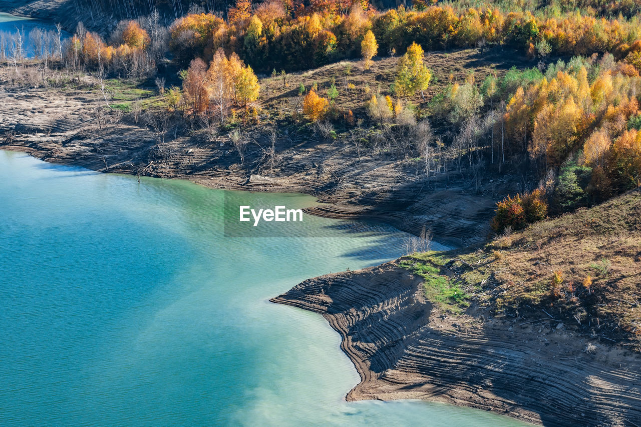 High angle view of river amidst trees in forest