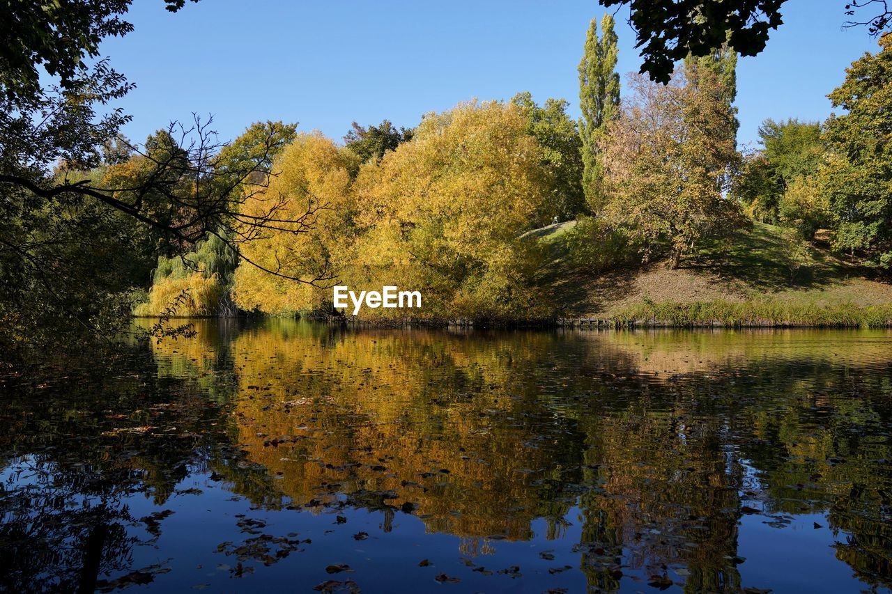 Trees by lake against sky during autumn