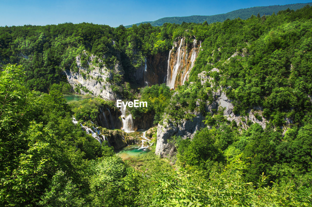 Scenic view of waterfall in forest