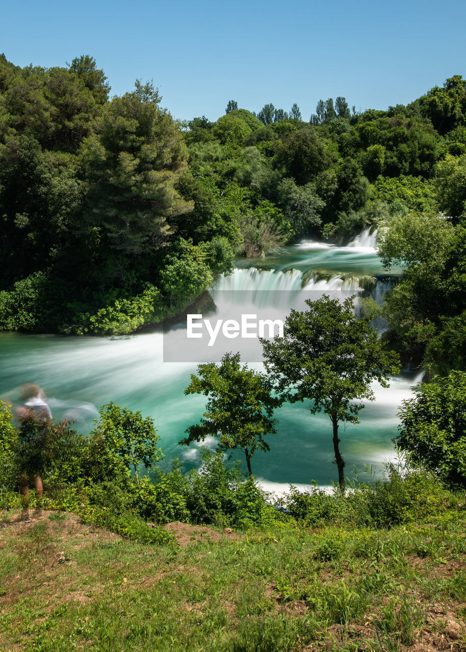 Scenic view of waterfall against trees in forest