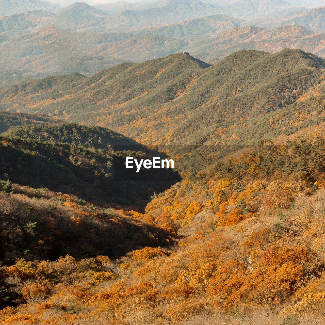 High angle view of landscape during autumn