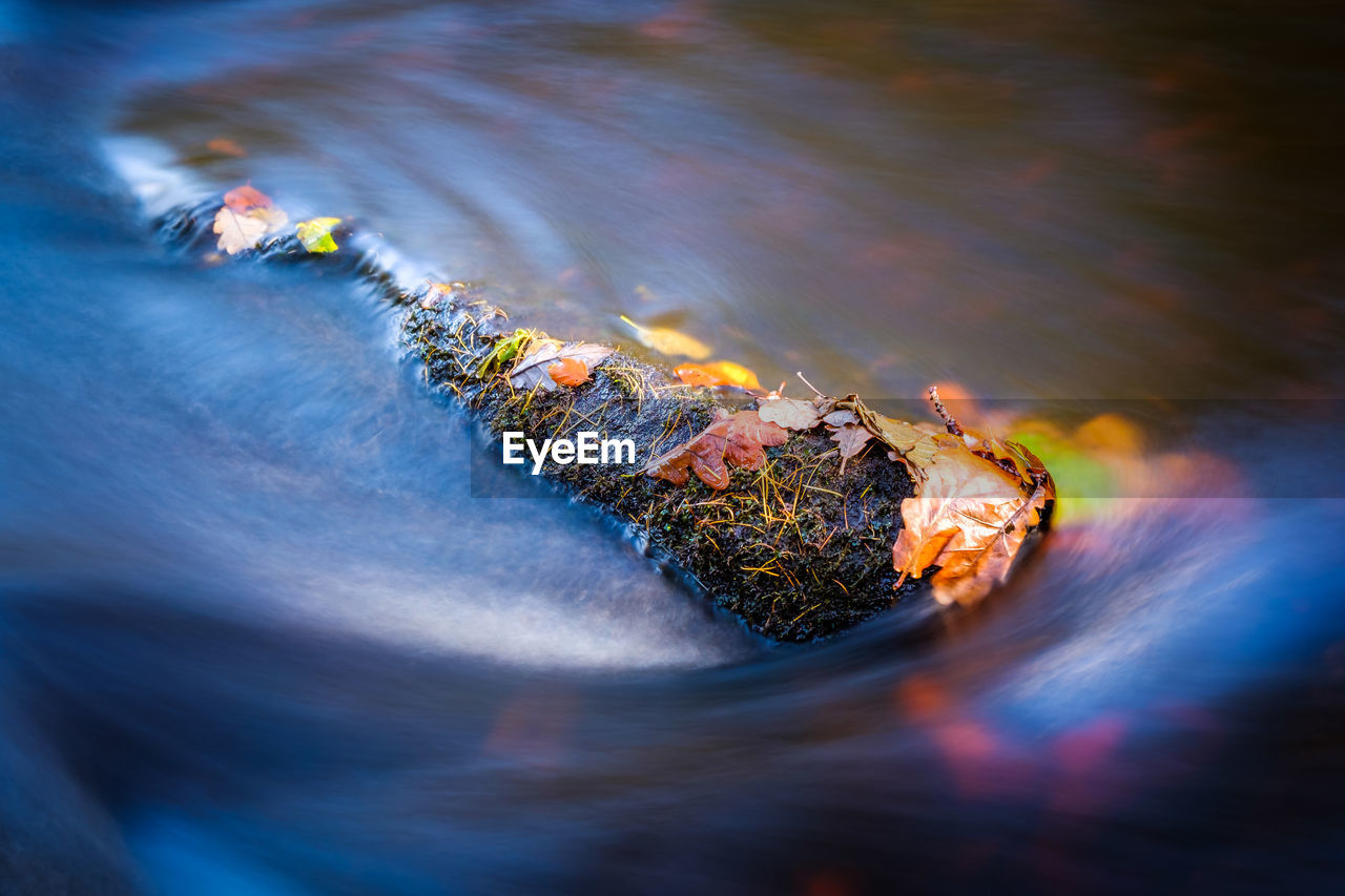 HIGH ANGLE VIEW OF RIVER IN THE WATER